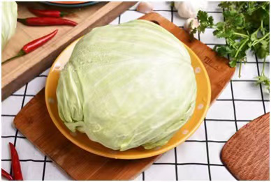 糜烂性胃炎患者该怎么吃，如何吃?生活饮食注意事项大全！(图16)